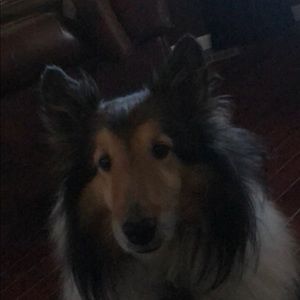 Meet your Posher, Paula